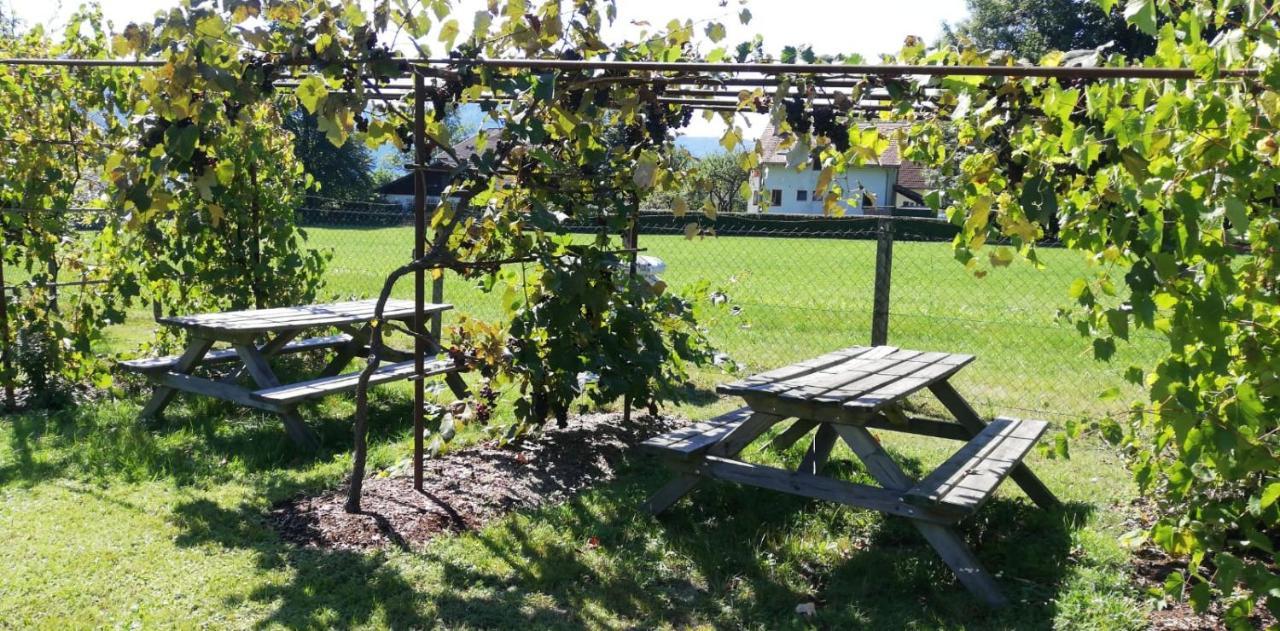 Seeidylle Winkler Bodensdorf Exterior photo